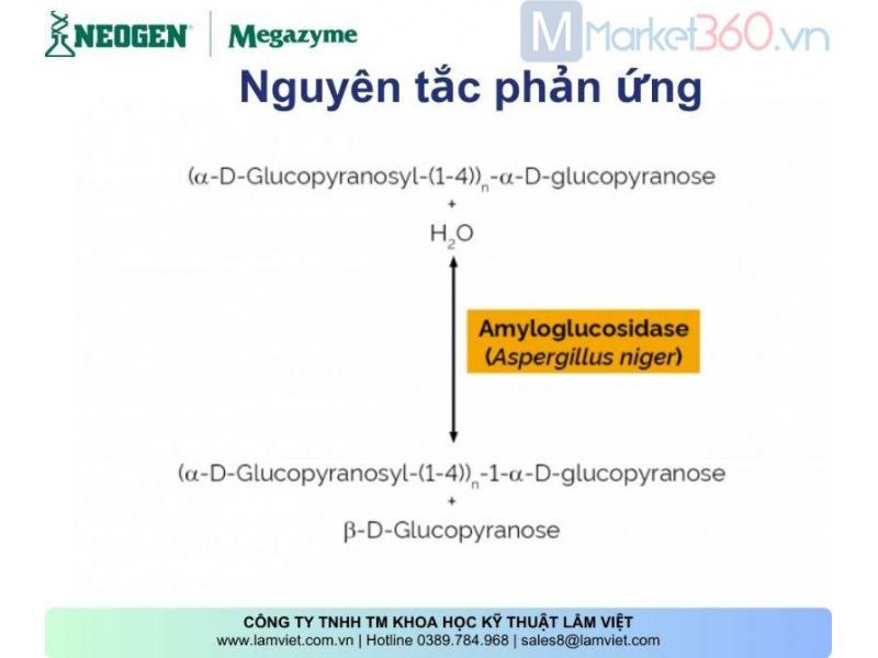 Hình ảnh 2 / 2