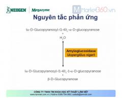Amyloglucosidase (Aspergillus niger)