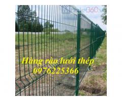 Hàng rào sơn tĩnh điện D4a50x200