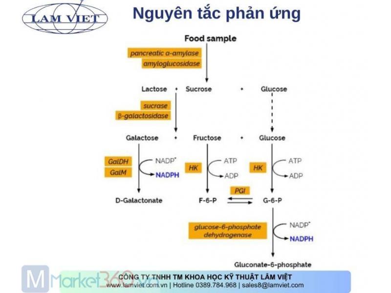 Hình ảnh 2 / 2