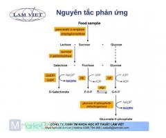 Available Carbohydrates Assay Kit