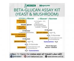 Beta-Glucan Assay Kit (Yeast and Mushroom)