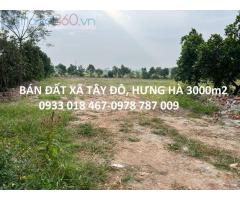 Đất thị trấn hưng hà, thái bình 3000m2