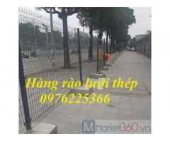 Hàng rào lưới thép hàn D5 ô 50x200