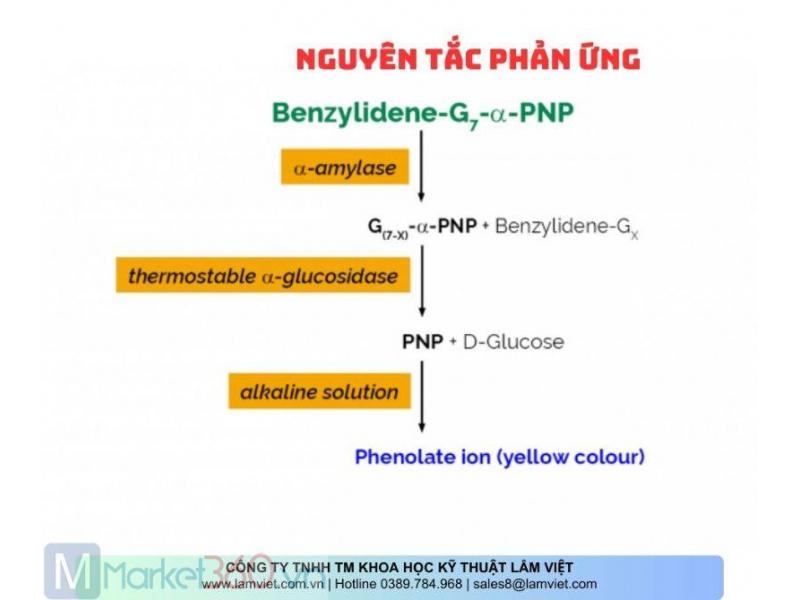 Hình ảnh 1 / 2