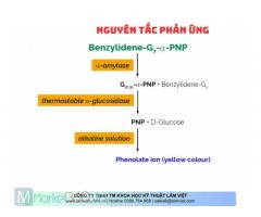 Bộ Xét Nghiệm α-Amylase Ceralpha