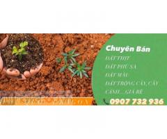 Bán đất màu trồng cây, đất trồng cây sạch tại Đồng Nai, HCM, Long An