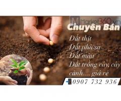 Bán đất trồng cây cảnh, cây sân vườn giá rẻ tại Đồng Nai, HCM