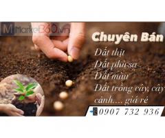 Bán đất màu trồng cây cảnh, đất vườn giá rẻ tại Đồng Nai, HCM