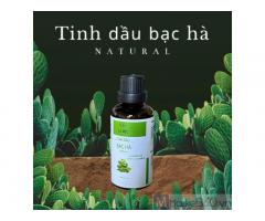 Tinh dầu Bạc Hà mát lạnh 10ml 50ml Peppermint LIS MEC Ấn Độ